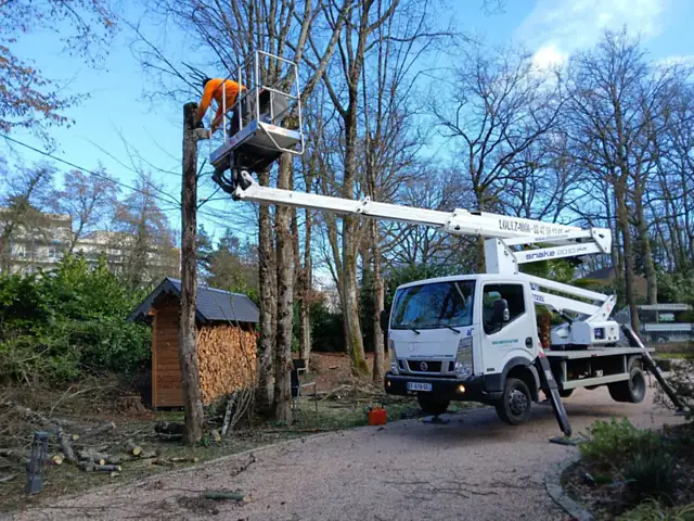 Abattage d'un arbre avec nacelle élévatrice dans un jardin à Loches