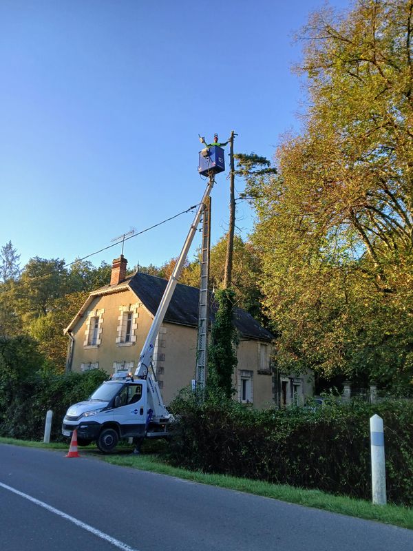 Abattage arbre – intervention nacelle