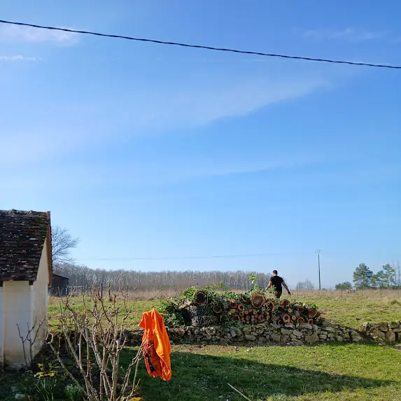 Le même jardin après abattage de l'arbre et évacuation des déchets verts