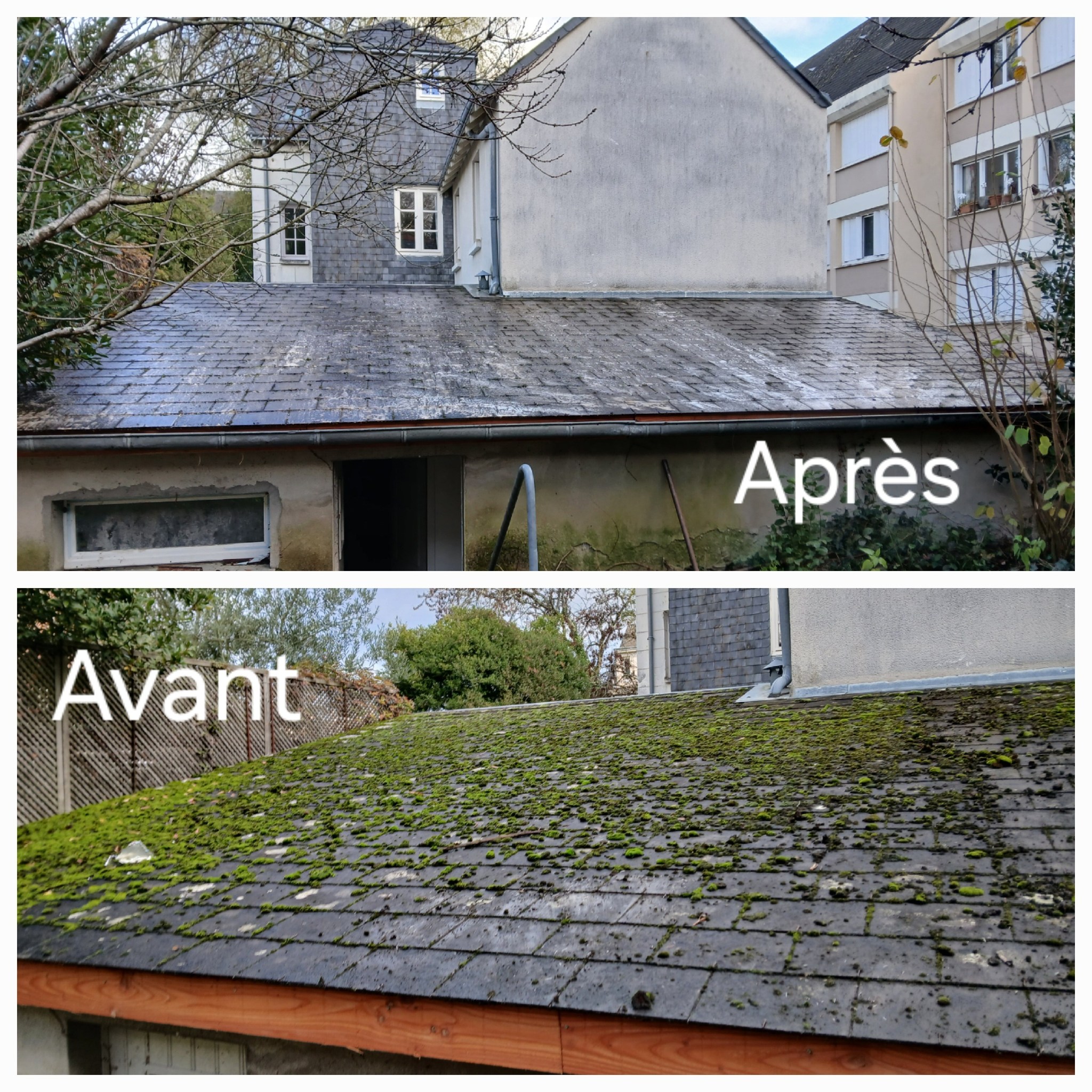 Démoussage toiture avant / après