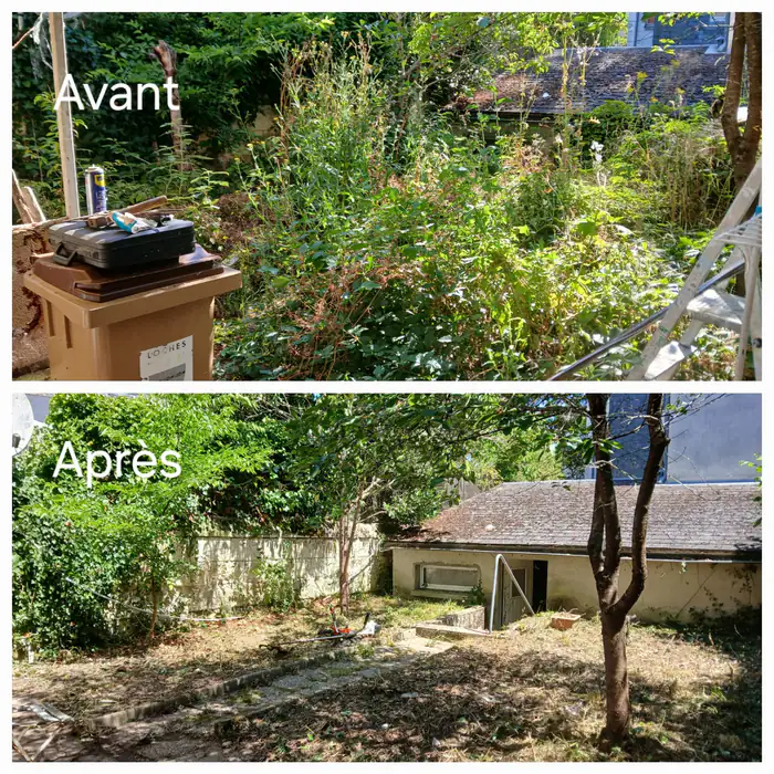 Terrain avant et après débroussaillage et défrichage près de Loches