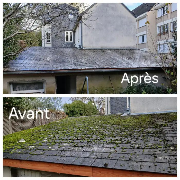 Toiture avant et après démoussage et traitement anti-mousse à Loches