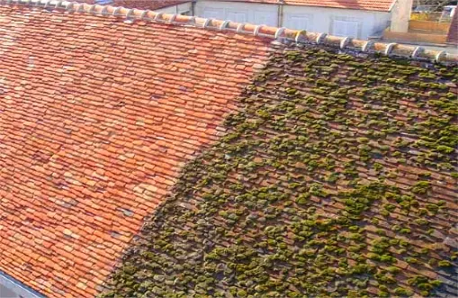 Résultat d'un démoussage de toiture avec traitement hydrofuge