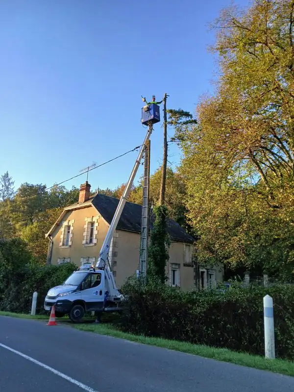 Élagueur au travail sur une nacelle pour l'abattage d'un arbre en hauteur